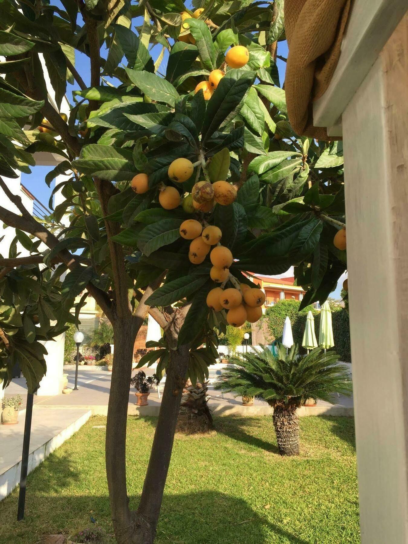 Marricriu Camere Авола Экстерьер фото